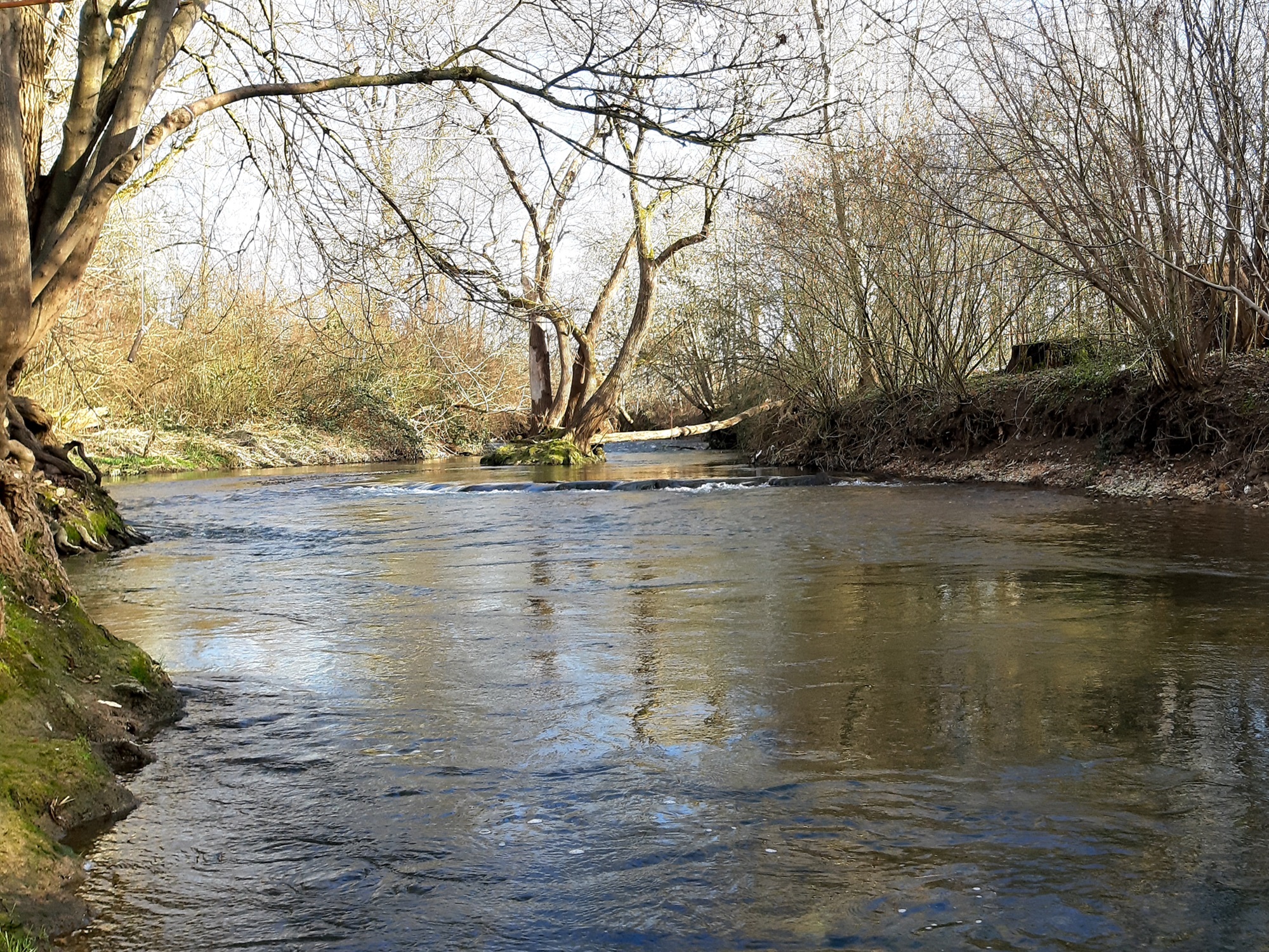 2024 März Blog - Das Leben ist im Fluss