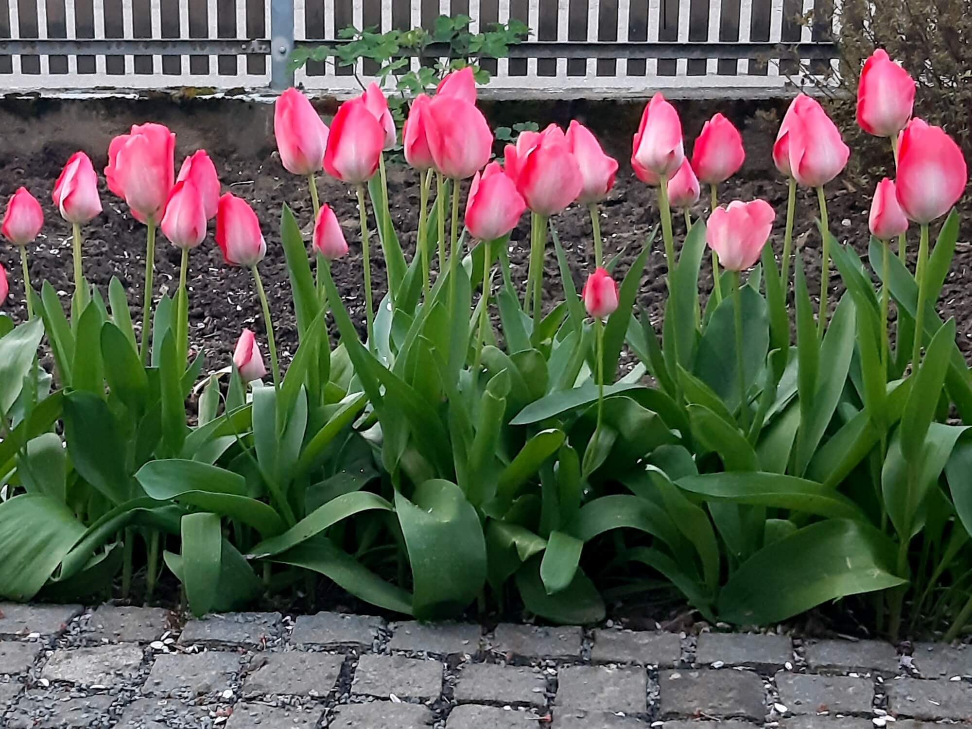 2024 April Blog - Das Leben ist ein Geschenk - Zeit zum Auspacken