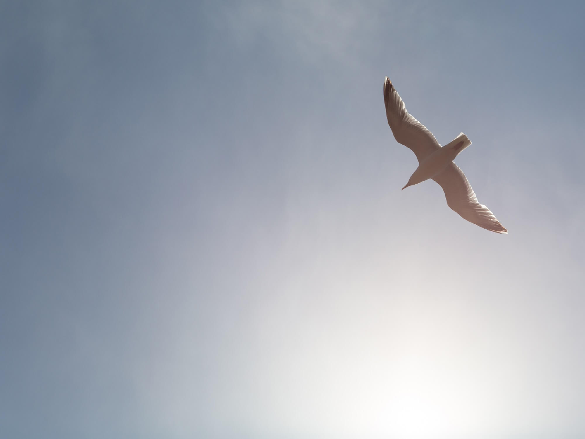 2024 Mai Blog - Das Leben in Freude und Leichtigkeit