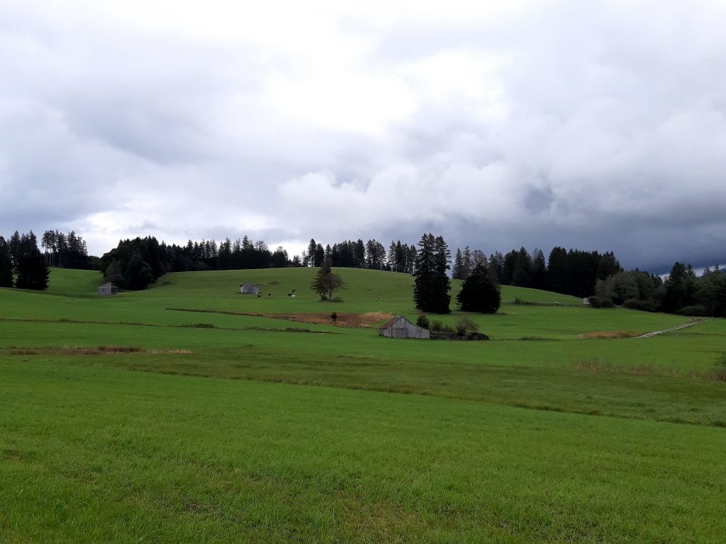 Das Leben - unterwegs auf der Suche nach Liebe und Frieden