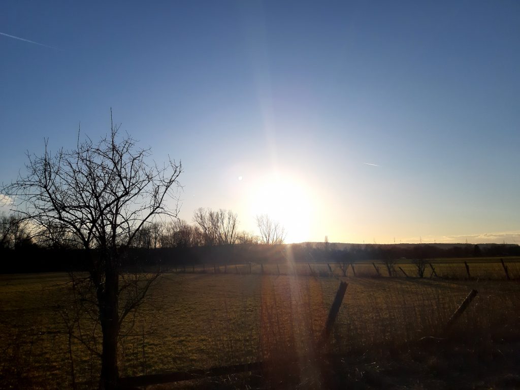 Das Leben - wo wollen wir hin und wie?