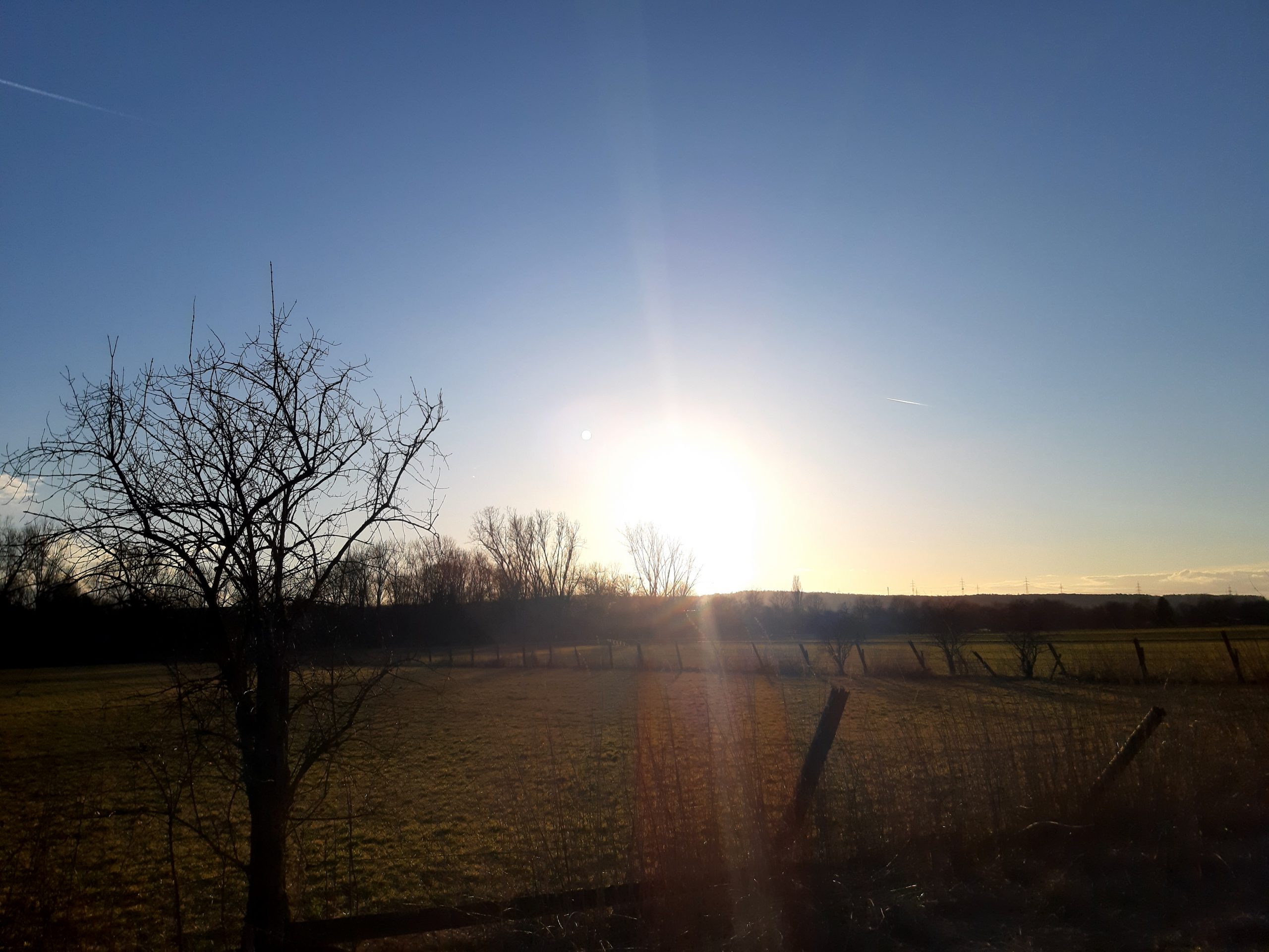 Das Leben - wo wollen wir hin und wie?