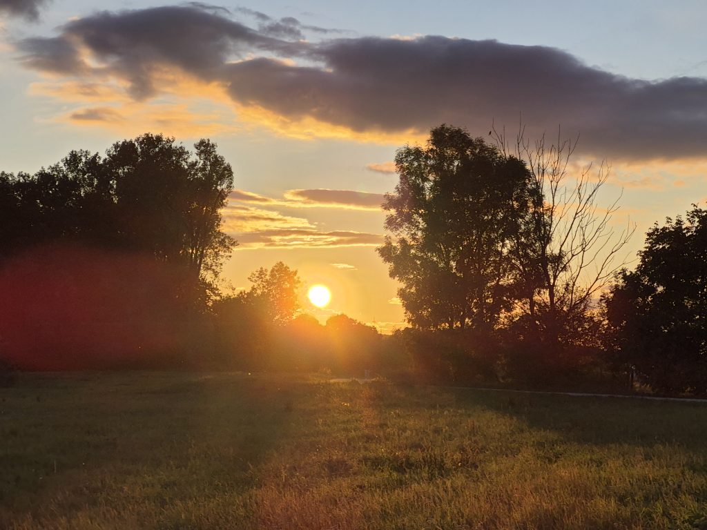 Das Leben durch die Jahreszeiten