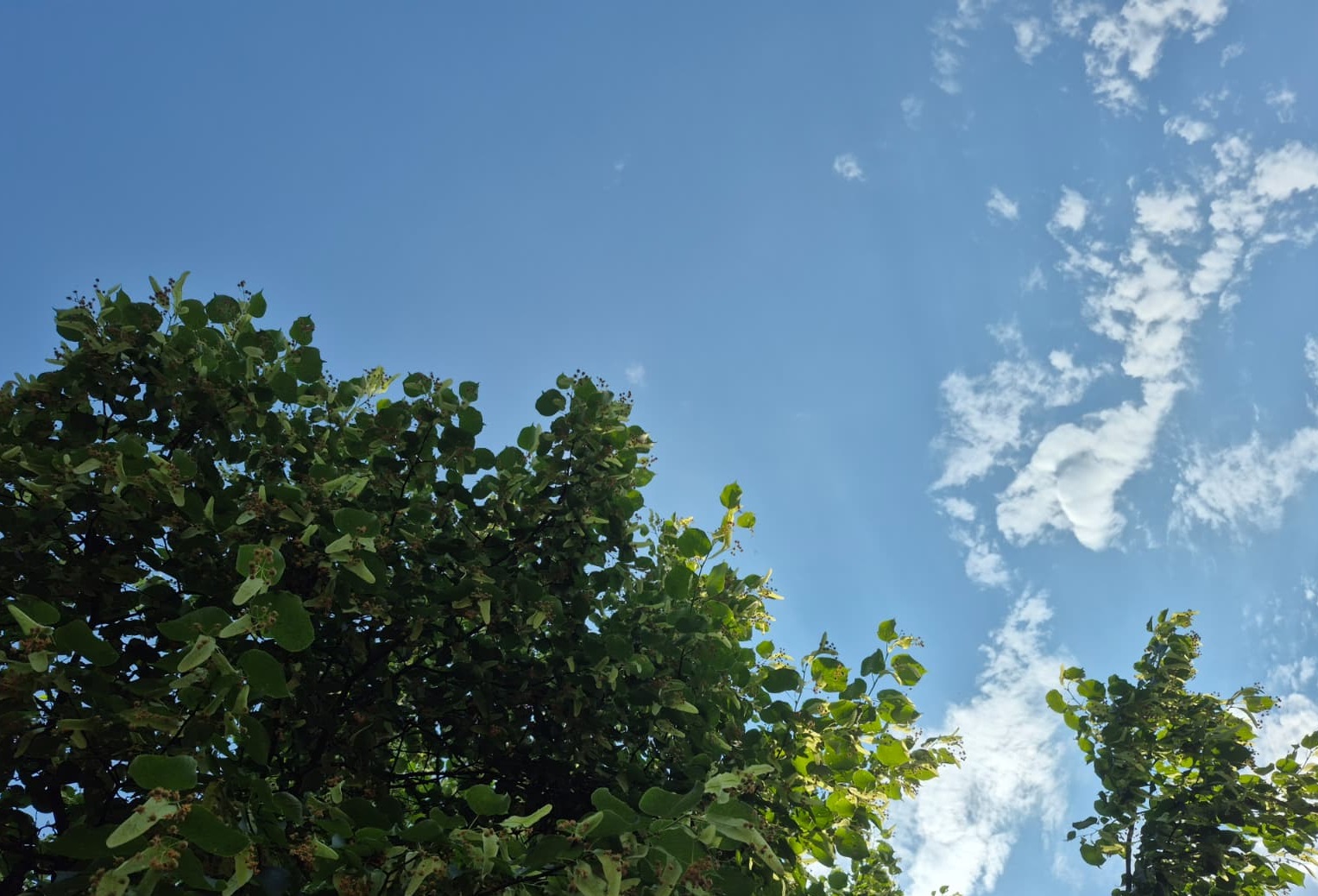 Sommer-Himmel